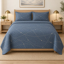 Quiet Flight Path Pilot Quilt Set